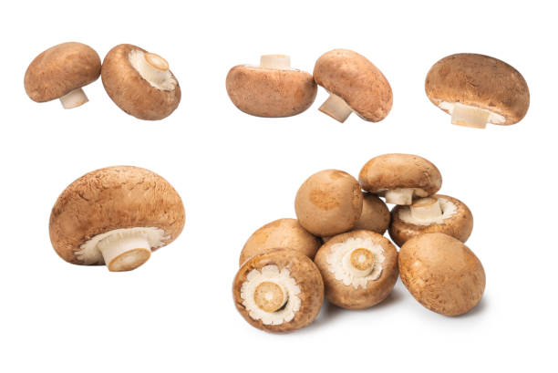 istock Tasty mushroom isolated on white background. 1370320027