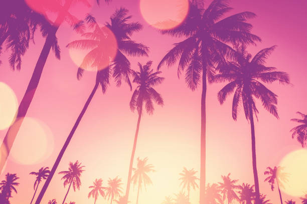 istock Tropical palm tree with blue sky and cloud abstract background. Summer vacation and nature travel adventure concept. 1370321141