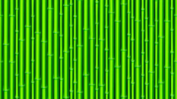 Vector illustration of Horizontal seamless bamboo background. Green bamboo sticks pattern. Realistic vector illustration.