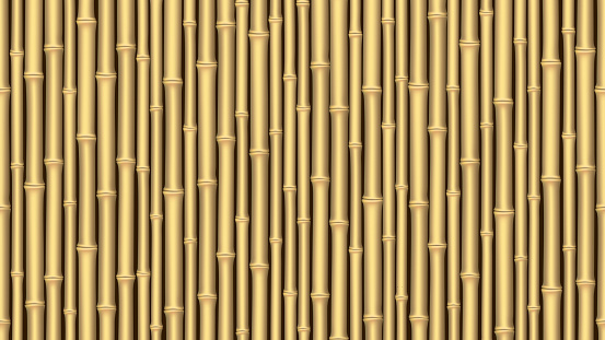 Horizontal seamless bamboo background. Brown bamboo sticks pattern. Realistic vector illustration