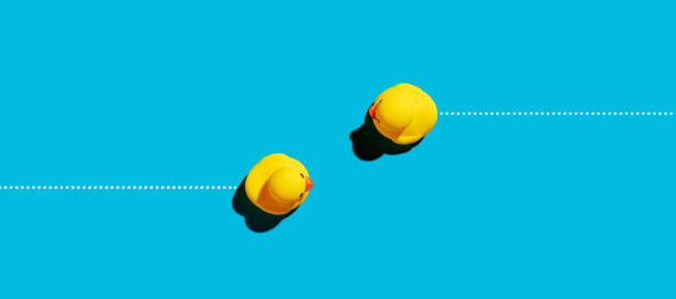 istock Toy rubber ducks moving towards opposite directions. Competition, encounter, diversity, opposition or confrontation. 1370329092