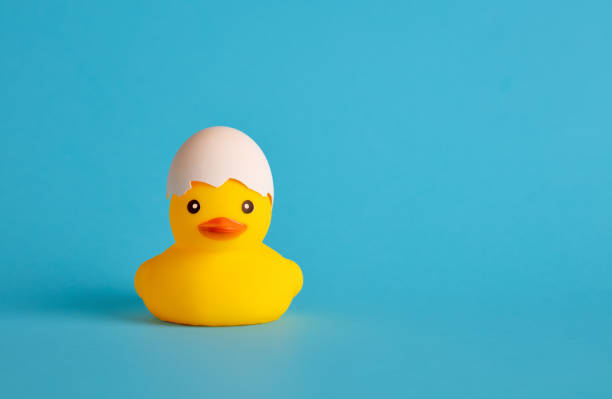 istock Rubber duck with an eggshell hat. Duckling hatch from an egg, birth or newborn. 1370329248
