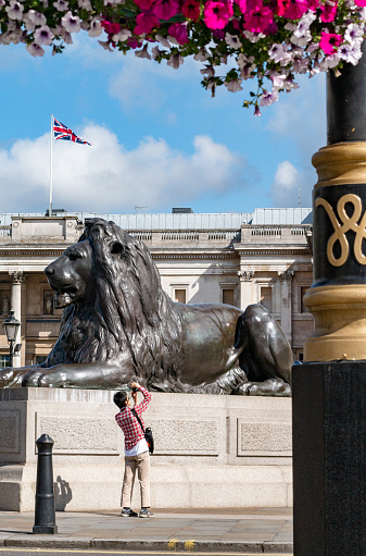 Landseer Lion Statue at Trafalgar Square in City of Westminster, London, with a tourist nearby.  The four lions here were sculpted by Sir Edwin Landseer (1802-73) and placed in the square in 1867.