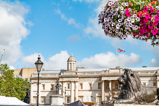 Landseer Lion Statue and National Portrait Gallery at Trafalgar Square in City of Westminster, London. The four lions here were sculpted by Sir Edwin Landseer (1802-73) and placed in the square in 1867.