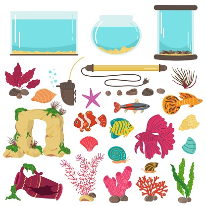 Aquarium elements. Interior decor, glass water containers for color little fishes, home hobby elements, underwater decoration stones and colorful seaweeds, vector cartoon flat style isolated set