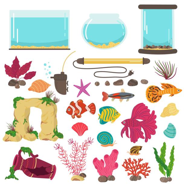 Aquarium elements. Interior decor, glass water containers for color little fishes, home hobby elements, underwater decoration stones and colorful seaweeds, vector isolated set Aquarium elements. Interior decor, glass water containers for color little fishes, home hobby elements, underwater decoration stones and colorful seaweeds, vector cartoon flat style isolated set goldfish bowl stock illustrations