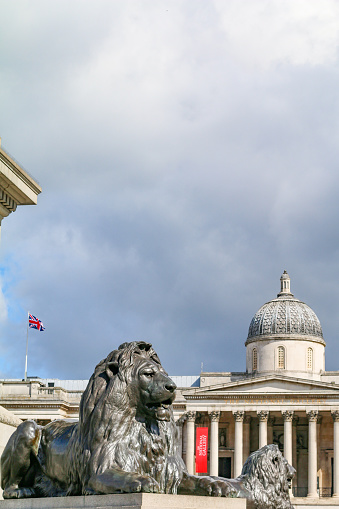 Landseer Lion Statue at Nelson's Column and National Portrait Gallery at Trafalgar Square, London. The four lions here were sculpted by Sir Edwin Landseer (1802-73) and placed in the square in 1867.