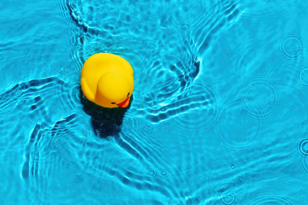 istock Yellow rubber duck toy floating on a swimming pool 1370330762