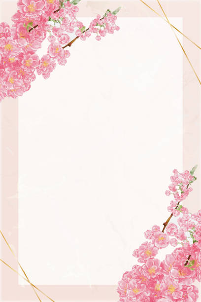 복숭아 대리석 배경에 황금으로 된 벚꽃 물 색 손 페인트,벡터 봄 꽃, 웨딩 초대장, 어머니의 날, 발렌타인 데이를위한 텍스트 사본 공간 그림 핑크 사쿠라 - cherry valentine stock illustrations