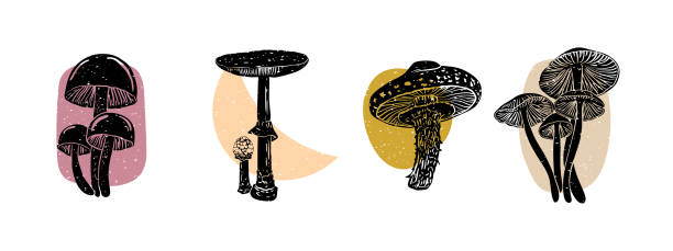 Set of Mushrooms. Hand drawn trendy Vector illustration Set of Mushrooms. Hand drawn trendy Vector illustration. Perfect For your own decoration or design. Poster templates riso print stock illustrations