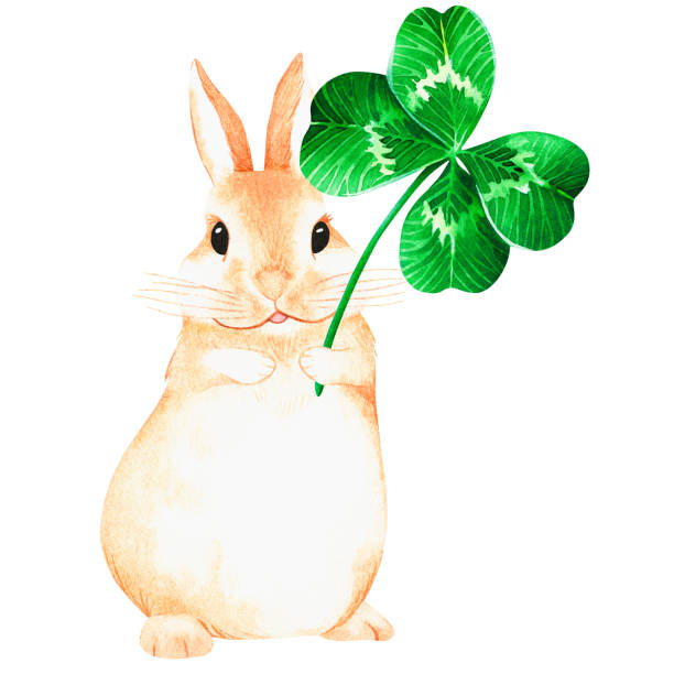 Rabbit with a four leaf clover. Watercolor illustration. Isolated on a white background. For design Rabbit with a four leaf clover. Watercolor illustration. Isolated on a white background. For your design of fabrics, greeting cards, gift packages, stationery, accessories. irish birthday blessing stock illustrations