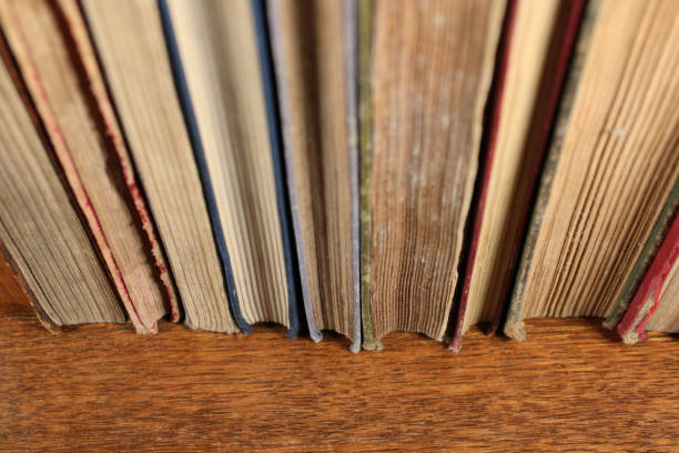 istock Old Books Lined Up on a Wood Shelf 1370336907