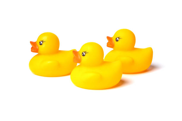 istock Three toy yellow rubber ducks for swimming, isolated on a white background. Side view 1370340473