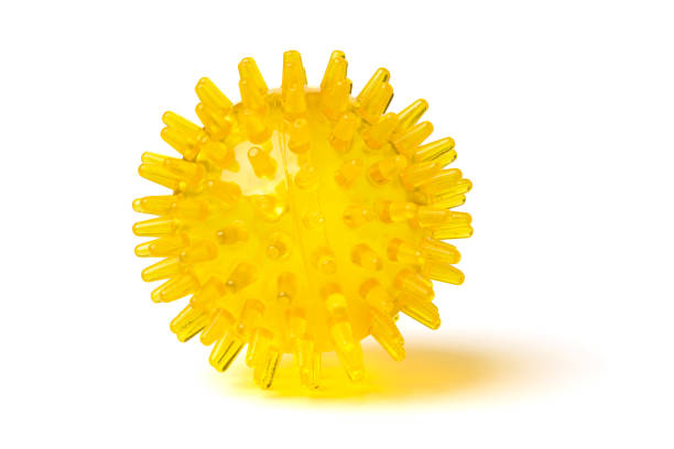 yellow plastic massage ball with spikes isolated on a white background