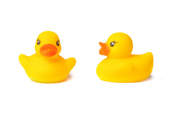 istock Two toy yellow rubber ducks for swimming, isolated on a white background 1370340519