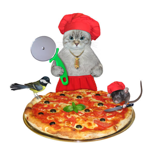 istock Cat ashen with special knife near pizza 2 1370344982