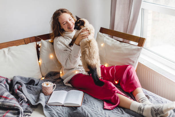 istock Cute cat on owners's hands at home 1370345088