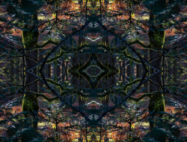 istock Psychedelic Woods during Winter, Symmetrical Kaleidoscope Abstract Background. 1370348450