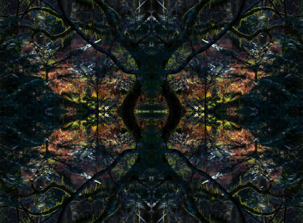 istock Psychedelic Woods during Winter, Symmetrical Kaleidoscope Abstract Background. 1370349071