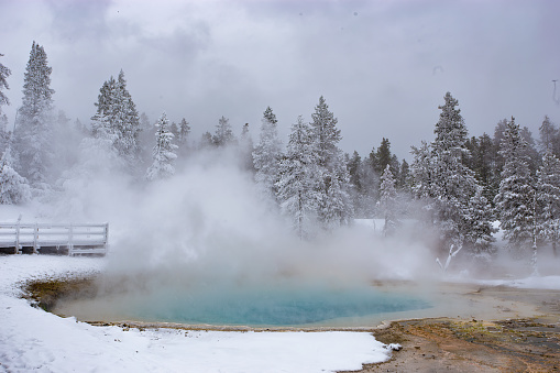 Steam rises from a thermal pool in the Fountain Paint Pots area of Yellowstone National Park