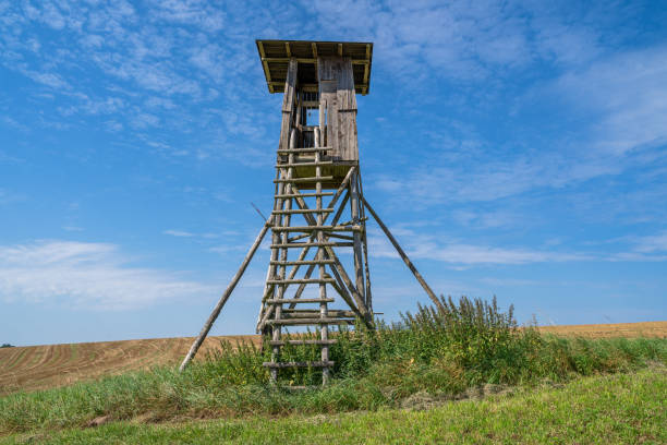 istock Wooden hunter's hide on the field with blue sky 1370350940