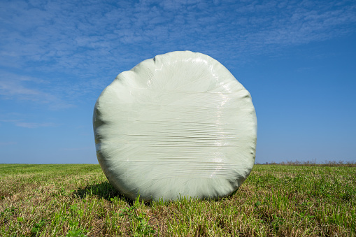 Wrapped bale of hay in the field with blue sky in the background