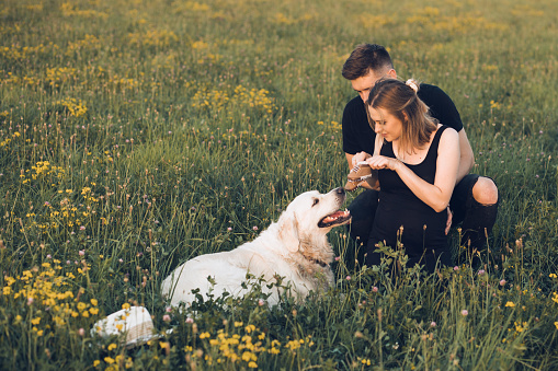 Young pregnant wife and husband walking at field, hold baby boots. Couple waiting for baby, relax outdoors with golden retriever. Casual clothing married woman and man sitting on green grass