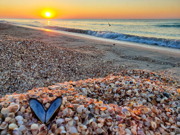 istock Sunrise on the sea, heart shaped shell, love relationship romance concept 1370359152