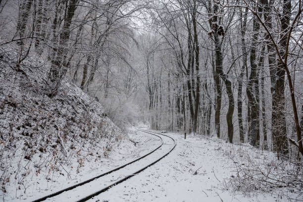Rural road through the winter forest in a snow
