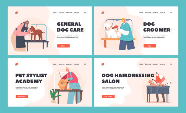 ilustrações de stock, clip art, desenhos animados e ícones de groomers service landing page template set. hairdressers characters care of dogs cutting wool, washing, drying - dog bathtub washing puppy