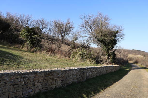 istock Countryside landscape in the Monts d'Or 1370366724