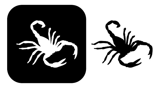 Vector illustration of two black and white scorpion icons.