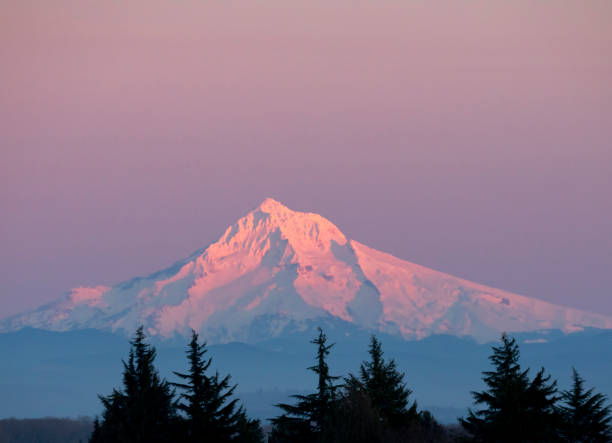 마운트 후드 일몰 - copy space alpenglow winter mountain range 뉴스 사진 이미지