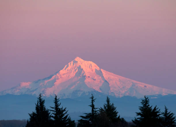 mt hood sunset - copy space alpenglow winter mountain range imagens e fotografias de stock