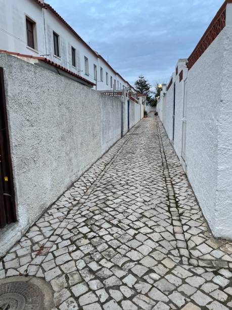 istock Alleyway between houses 1370378628
