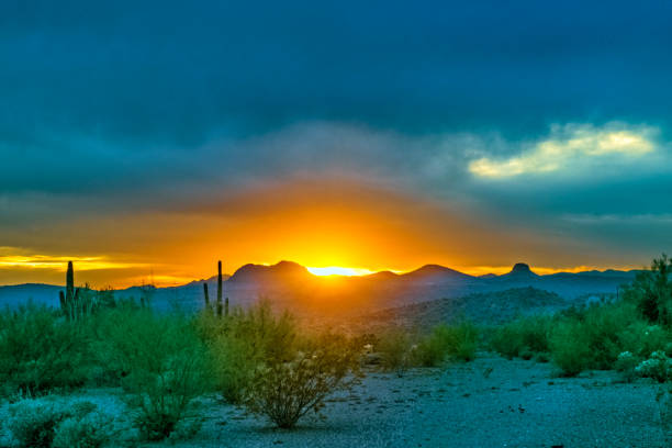 pustynny krajobraz ze słońcem na horyzoncie - tucson zdjęcia i obrazy z banku zdjęć
