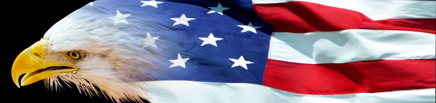 Patriotic bald eagle and United States of America flag combined into a banner