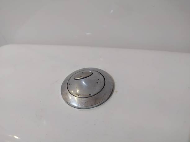 istock Flush push button of a sanitary vase 1370390470