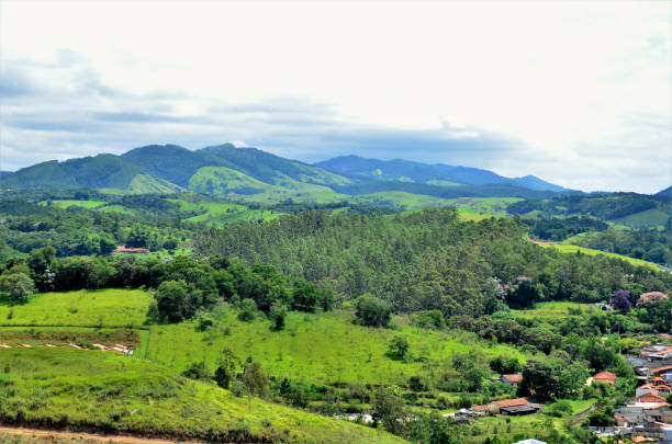 istock The mountains and small eucalyptus plantation 1370392516