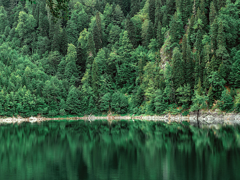 A picturesque landscape with clear green lake surrounded by dense forest. National Nature Reserve