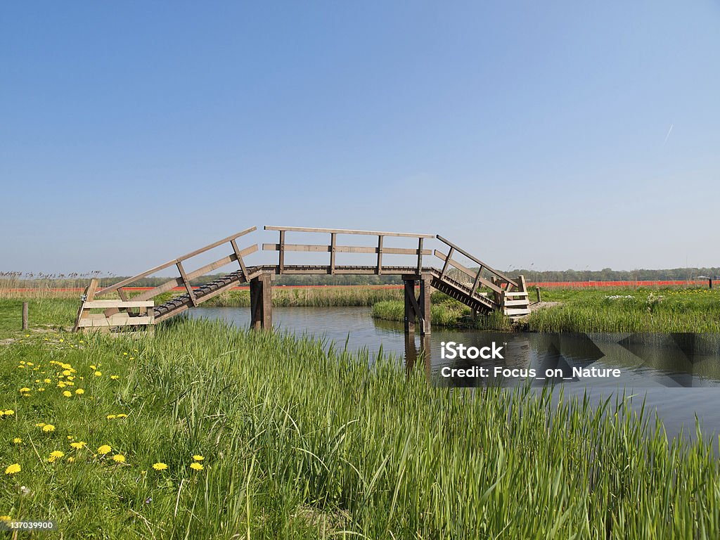 Brigde dans le champ - Photo de Bleu libre de droits