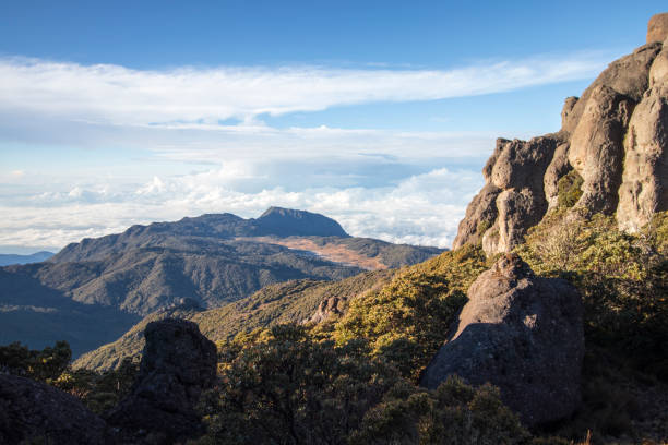 istock Landscape on a beautiful morning with paramo vegetation in Chirripo National Park 1370402176