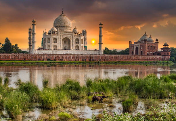 istock The Glorious Taj Mahal And the Yamuna River 1370404163