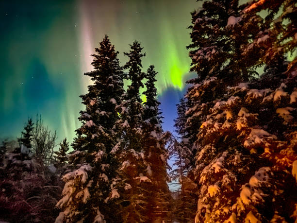 istock Auroras Borealis In Alaska 1370406104