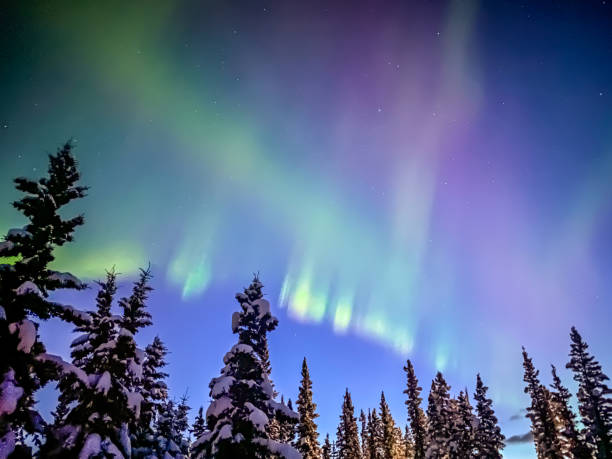 istock Auroras Borealis In Alaska 1370406112
