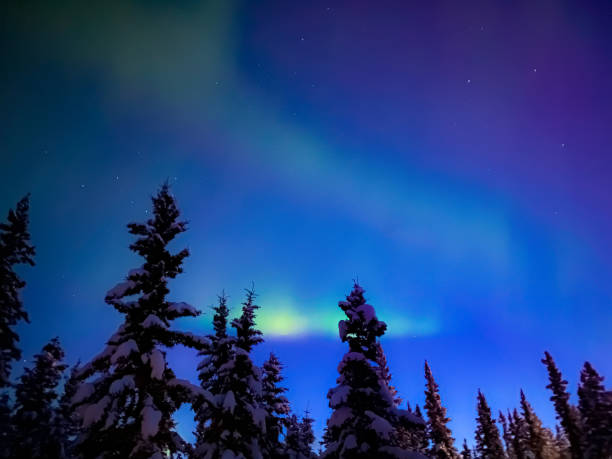 istock Auroras Borealis In Alaska 1370406138