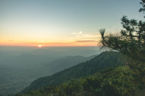 morning sunrise and beautiful pinus kesiya tree and hill valley at viewpoint - kesiya imagens e fotografias de stock