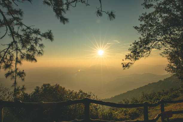 lever de soleil matinal et belle pinus kesiya arbre et vallée de la colline au point de vue - kesiya photos et images de collection