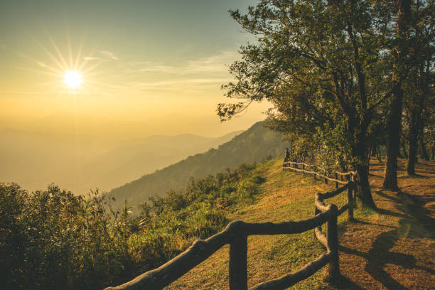 morning sunrise and beautiful pinus kesiya tree and hill valley at viewpoint - kesiya imagens e fotografias de stock