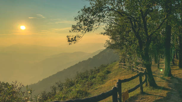 morning sunrise and beautiful pinus kesiya tree and hill valley at viewpoint - kesiya imagens e fotografias de stock